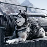 Alpstuga Private Whole-hotel In 360 Alpine Views Sauna & Hot Tub *