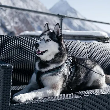 木屋 Private Whole-hotel In 360 Alpine Views Sauna & Hot Tub *