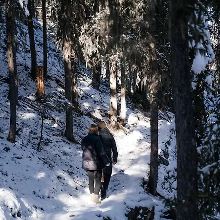 Private Whole-hotel In 360 Alpine Views Sauna & Hot Tub 木屋