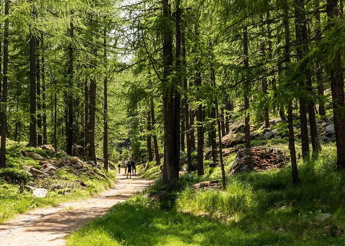 Private Whole-hotel In 360 Alpine Views Sauna & Hot Tub Dağ evi *