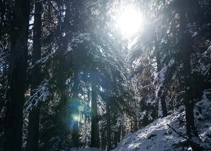 Private Whole-hotel In 360 Alpine Views Sauna & Hot Tub 木屋 *