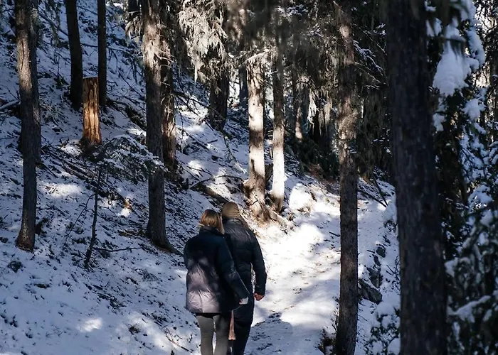 Private Whole-hotel In 360 Alpine Views Sauna & Hot Tub Σαλέ