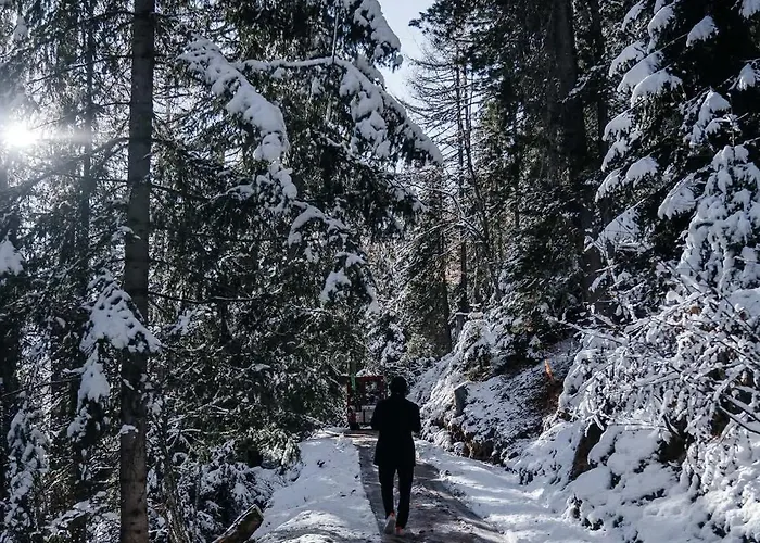 Σαλέ Private Whole-hotel In 360 Alpine Views Sauna & Hot Tub Saas Fee