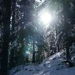 Private Whole-hotel In 360 Alpine Views Sauna & Hot Tub Σαλέ *