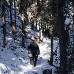Private Whole-hotel In 360 Alpine Views Sauna & Hot Tub Σαλέ